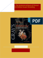 Download Complete Gray's Anatomy: The Anatomical Basis of Clinical Practice 42th Edition Susan Stranding PDF for All Chapters