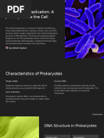 Prokaryotic Replication a Journey Inside the Cell