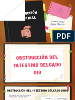 OBSTRUCCIÓN INTESTINAL