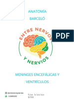 MENINGES ENCEFÁLICAS Y VENTRICULOS