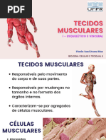 04 Muscular 1 Teórica 1