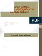 21 ciclos biogeoquímicos