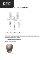 PDF Documento