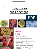 Aula sobre os fungos e as doenças.pptx