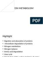 Amino Acid Metabolism