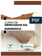 Apostila Derivados da Mandioca atualizada-1