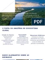 O-que-sera-da-Amazonia-Queimadas-Seca-Desmatamento.pdf (2)