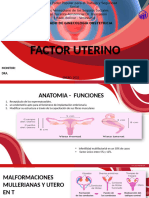 FACTOR UTERINO