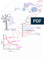 Nmp Diagrams