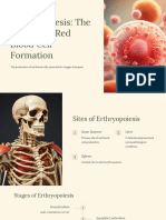 Erythropoiesis