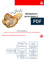 PB2_PPT TE06