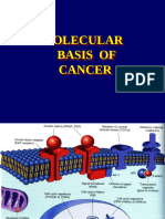 Neoplasia 5