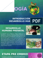 Desarrollo Humano Prenatal