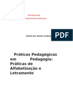 RELATÓRIO PRATICAS PEDAGÓGICAS