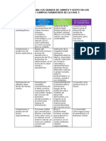 Fase 5