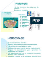 Homeostasis