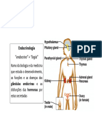 Tiróide .ppt [Modo de Compatibilidade]