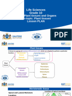 Life Sciences Gr.10 Lesson 42 Plant tissues
