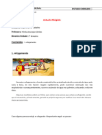 Assunto para estudo- afogamento.pdf