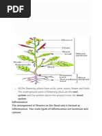 Morphology of Flowering Plants