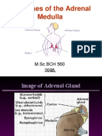 Hormones of The Adrenal Medulla For Labcon