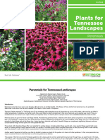 Plants-for-Tennessee-landscapes_Perennials-UT-Publication-W874-B