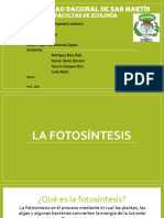 La Fotosintesis (1)