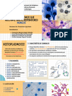 Grupo 13 - Hongos en El Sistema Respiratorio DIAPOSITIVAS