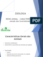 Introdução poríferos e cnidários