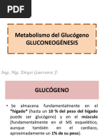 GLUCONEOGÉNESIS