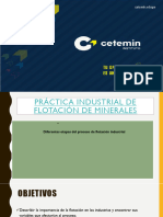 TAREA_COLABORATIVA_DE_PRACTICA_DE_FLOTACION