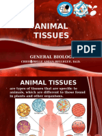 Animal Tissues