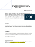 CRUZ, A.C. A APLICAÇÃO DE ANÁLISE ERGONÔMICA EM EMPRESAS DE PROCESSO DE CARBONIZAÇÃO DE EUCALIPTO