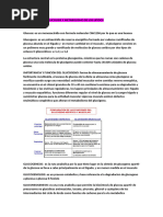 QUIZ DEL SABADO GLUCOLISIS Y METABOLISMO DE LOS LIPIDOS