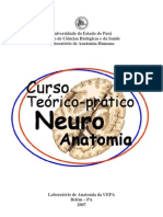 Curso Teórico-Prático de Neuroanatomia Funcional