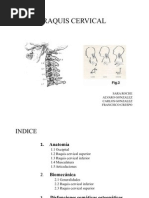 Trabajo de Raquis Cervical-Total