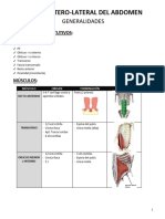 7 - ANEXO DE HERNIAS -ANATO