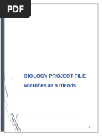 Microbes as Friends