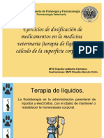 Dosificacion Terapia de Liquidos y Medicacion