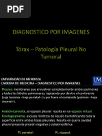 Patología pleural no tumoral DXI