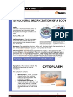 Structural Organization of A Body: Cytoplasm