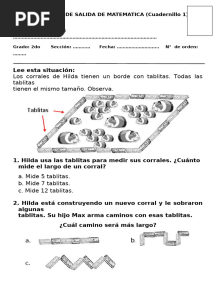 EVALUACION  DE SALIDA DE MATEMATICA