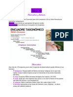 Parasitología tema 15