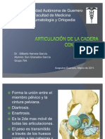 Articulación de La Cadera