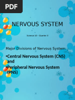 Nervous System Week 3