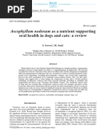 Ascophyllum nodosum as a nutrient supporting oral health in dogs and cats: a review