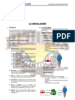 La Circulacion Economica