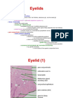 Histology of The Eyelid