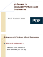 Strategic Issues in Entrepreneurial Ventures and Small Businesses