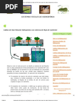 Explicación Del Sistema de Raíz Flotante en Tubos de PVC (Una Clase de Cultivo Hidroponico Sin Tierra